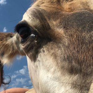 Meet your Posher, Myra